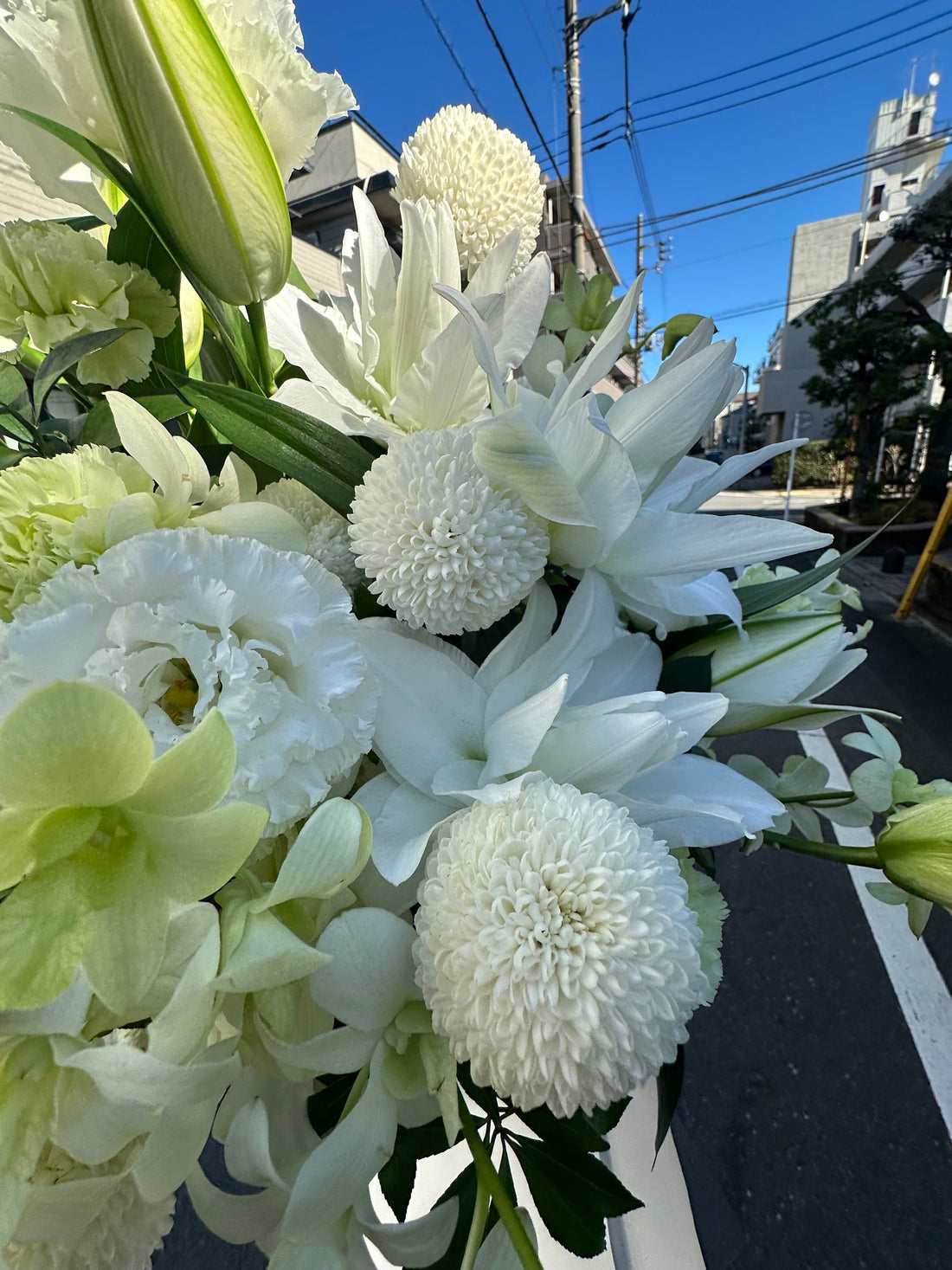 植物屋として人生の節目に立ち会うということ｜枕花に込めた想い