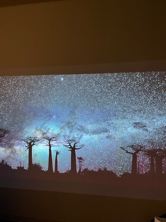 GORI 好きな言葉