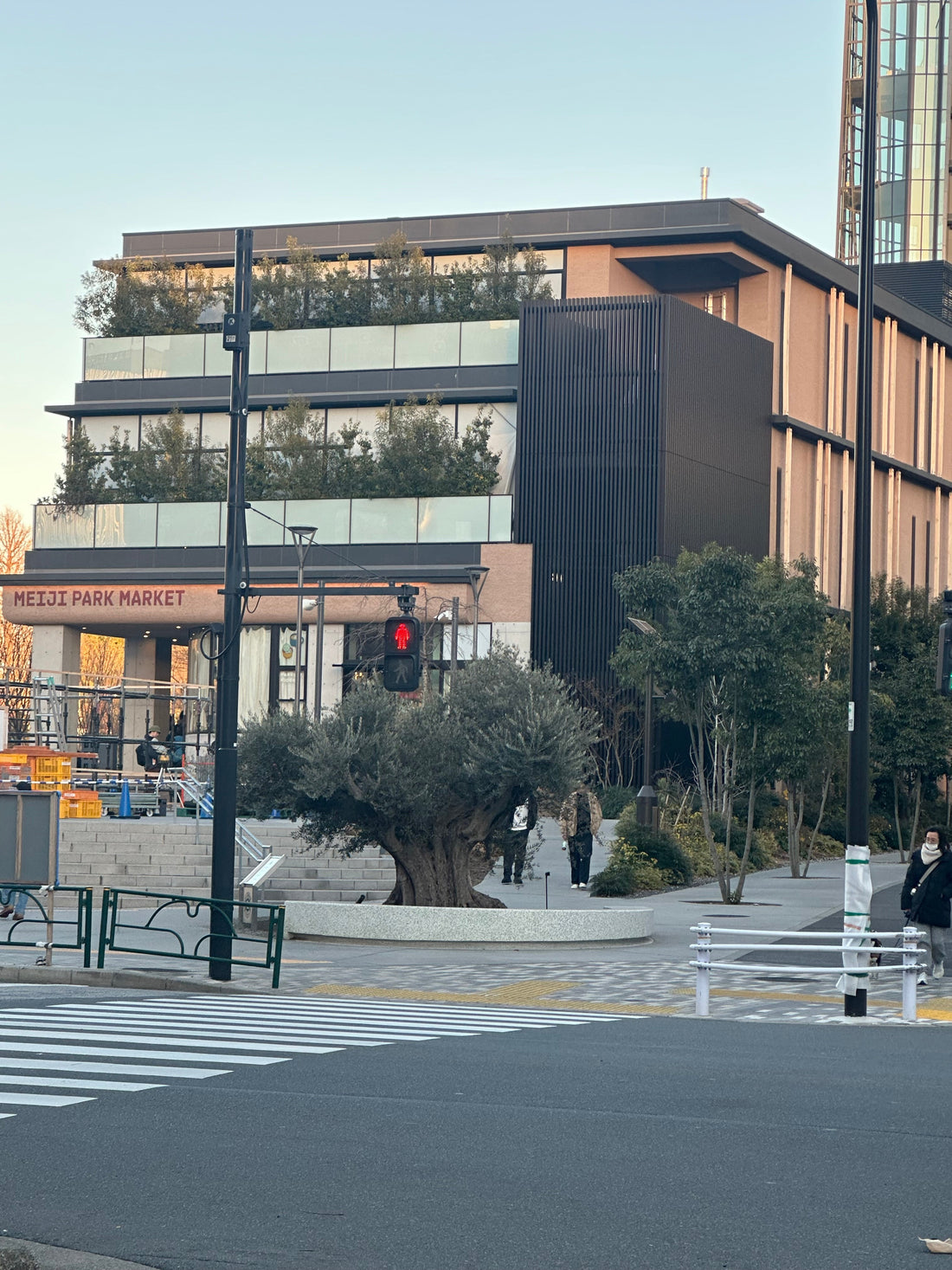 関東強風が続く今、植物屋が実践している風対策と考え方