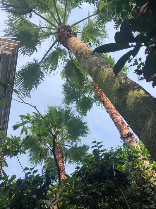 8月ももう終わり