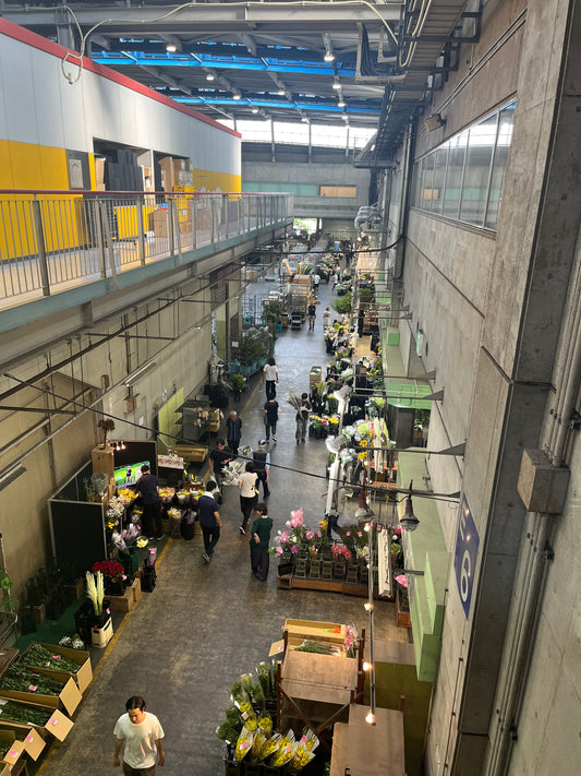 南海トラフ地震臨時情報