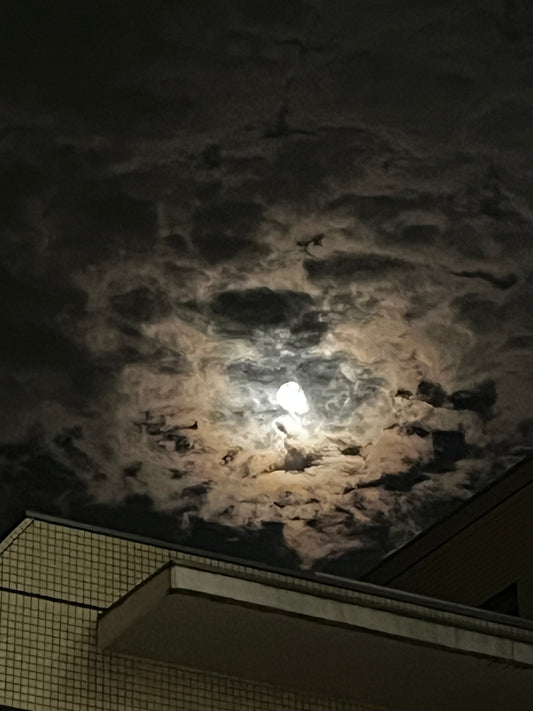 花木会　はこねフローリスト