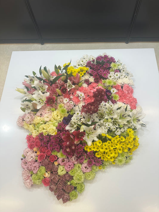 アマゾン密林違法開拓が東京23区の半分に｜保険が助長する環境破壊を考えるGORI日記