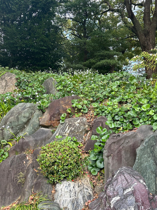 老いる首都圏、支えきれるか？ 介護と経済のリアル