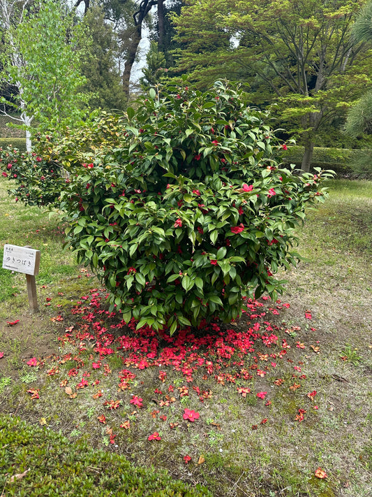 初任給30万円時代の現実と中小企業の想い