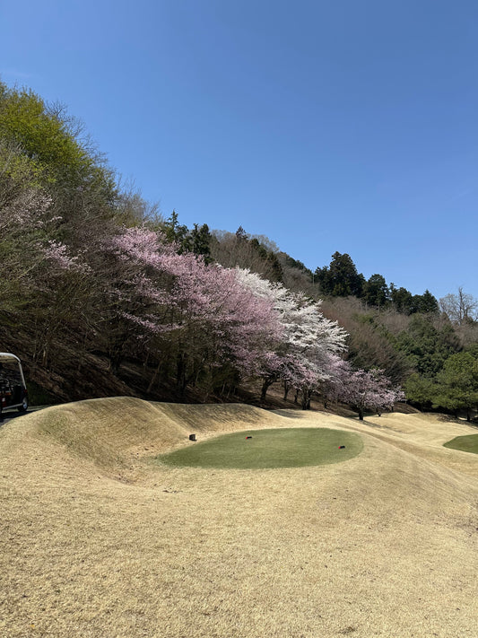 桜舞うフェアウェイで感じた、花とゴルフの共通点