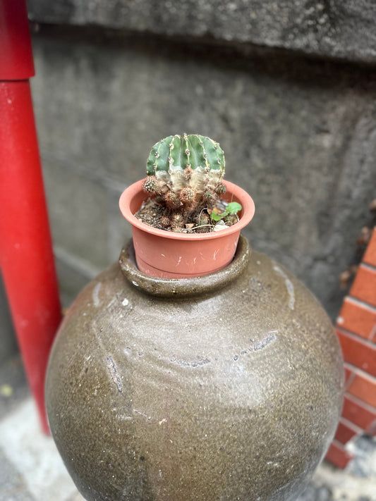 自分の武器・特技・苦手・弱点を見つめ直す｜