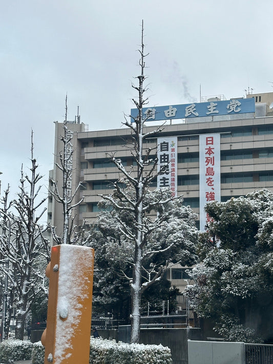 衆院選後、永田町が動く｜自民圧勝と当選胡蝶蘭のリアル