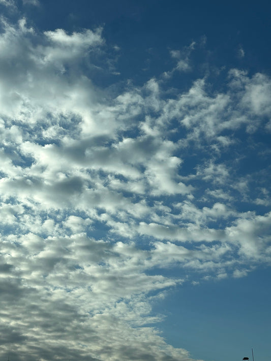 【GORI日記】一流ホテル「同期7割去った」ニュースから考える、サービス業の価値と未来