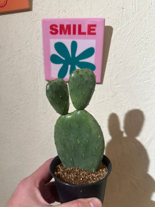 SNS規制と民主主義の行方｜ミュンヘン安保会議が映す価値観のすれ違い