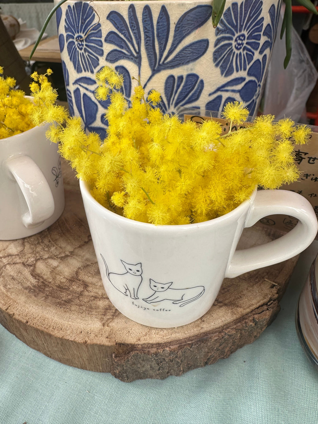 三鷹フジヤコーヒーでバレンタイン チューリップマルシェ開催レポート｜わんちゃんと春の花