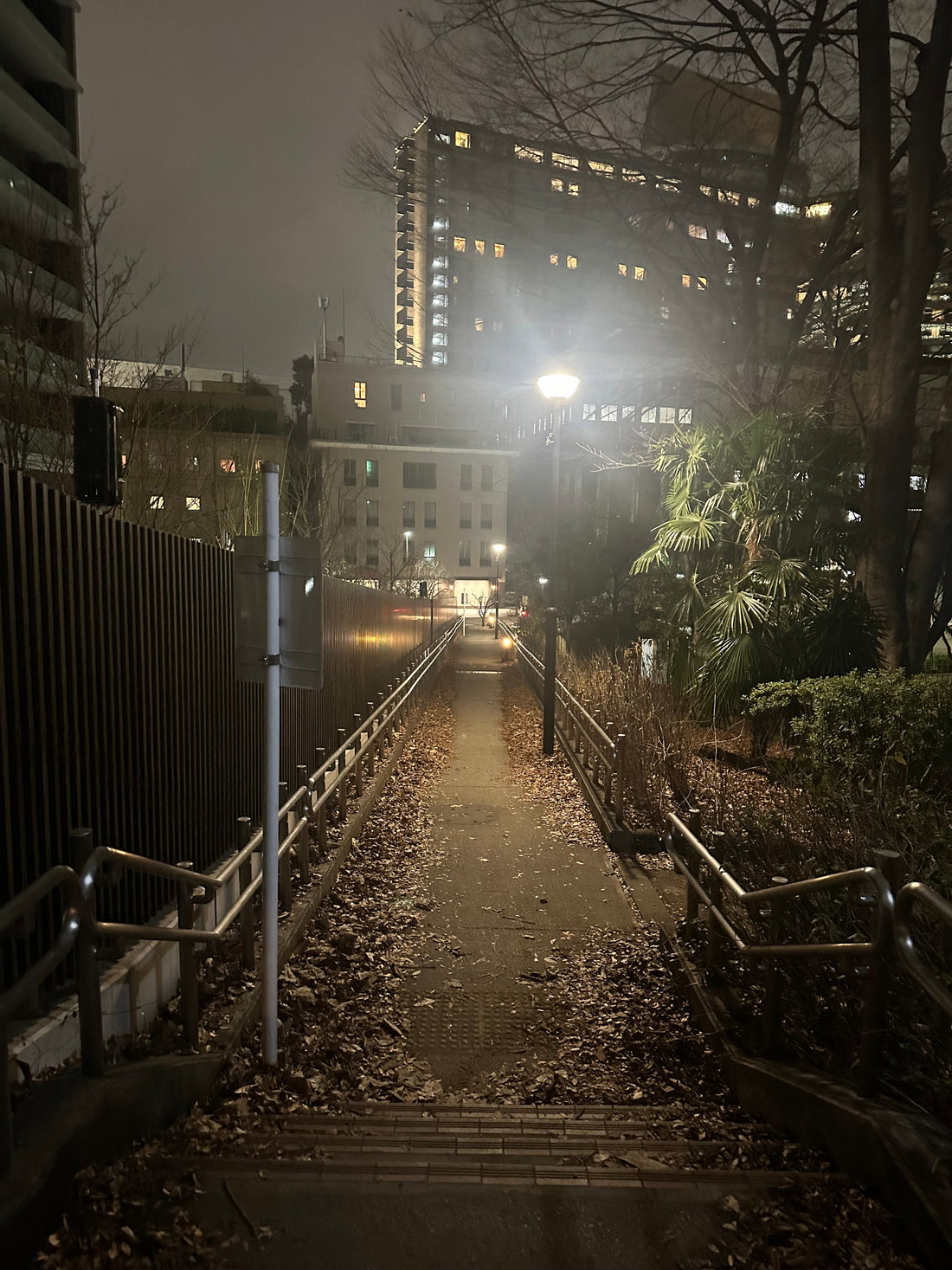 【世田谷西シニアの原点】恩師のお見舞いで振り返る少年野球時代の経験と感謝