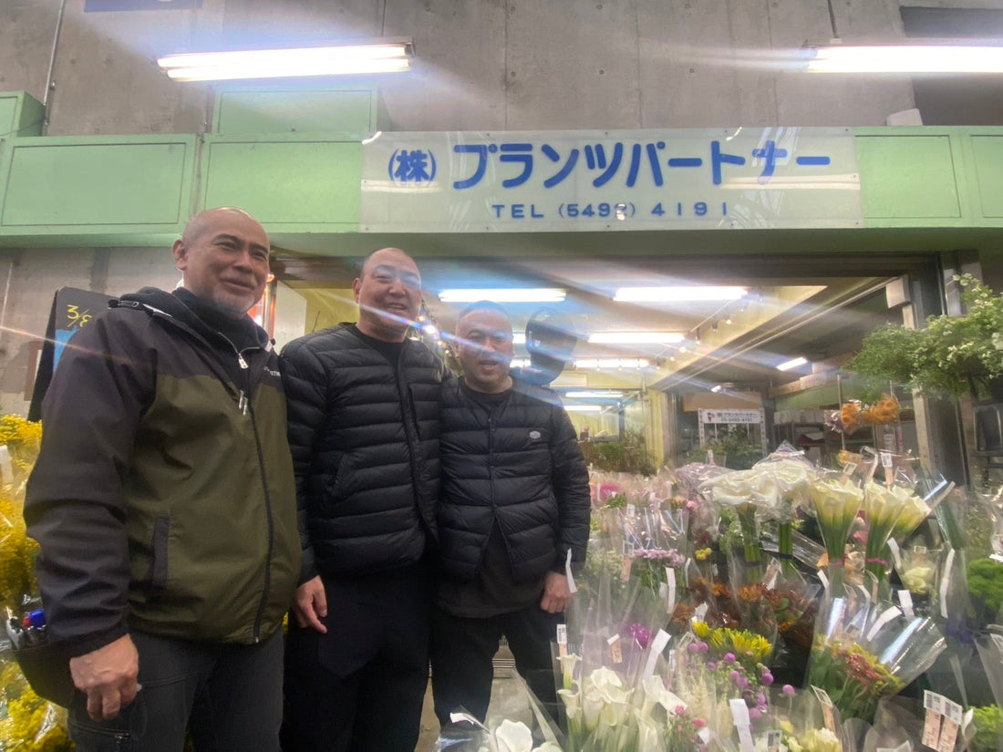 大田市場で旬のミモザに出会う｜プランツパートナー様訪問レポート