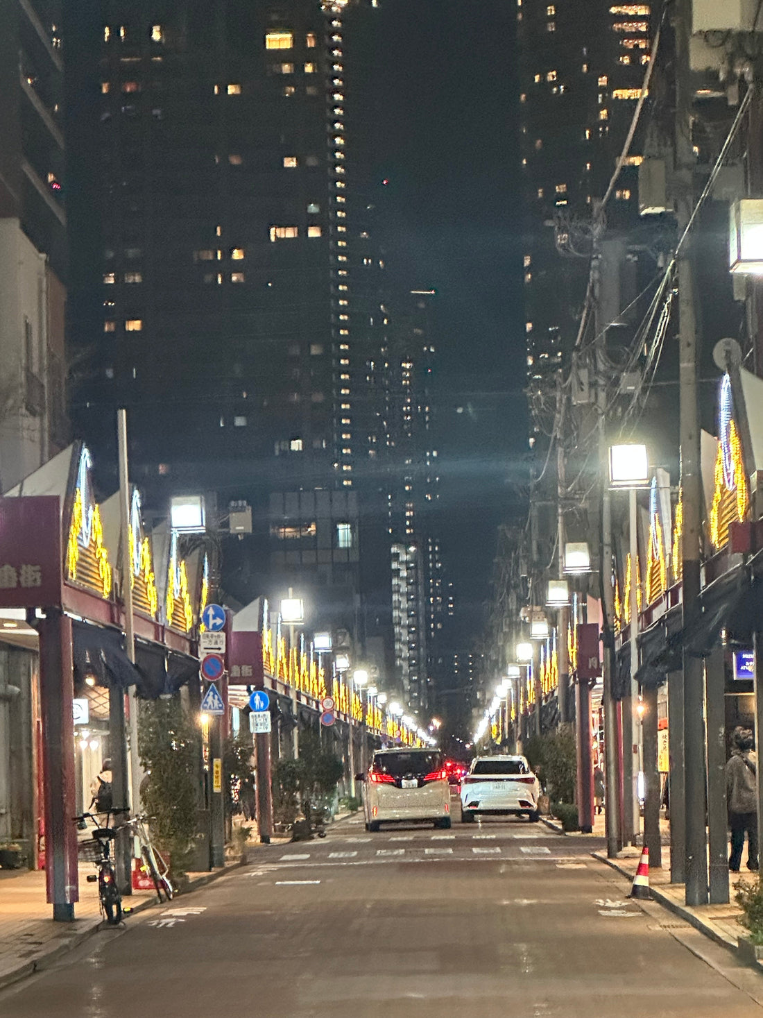 世界が揺れる日でも、植物は静かに育っている