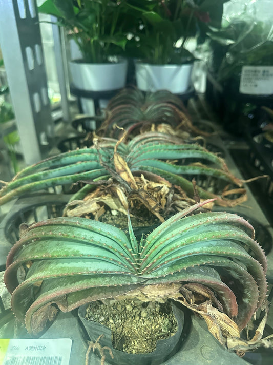 会社に残すべきものは何か