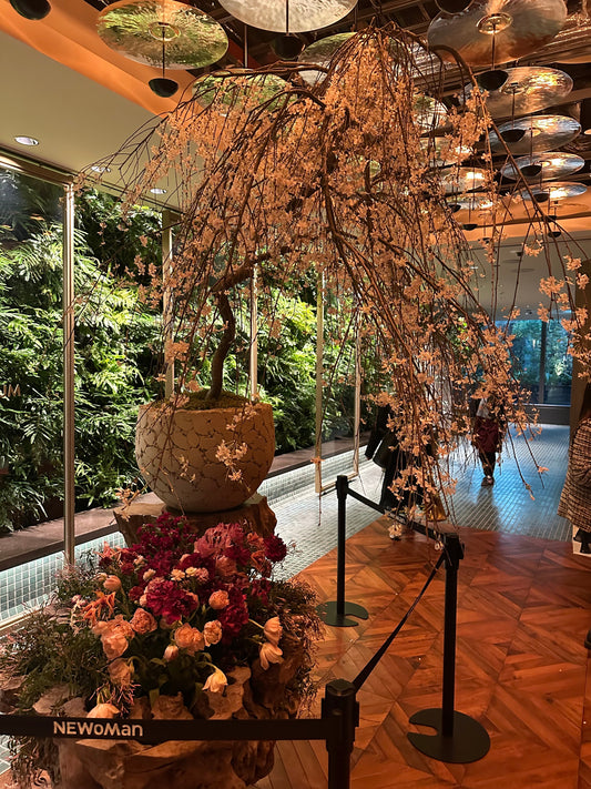 別府が「アートの街」に進化した理由｜温泉地再生と共生のまちづくり