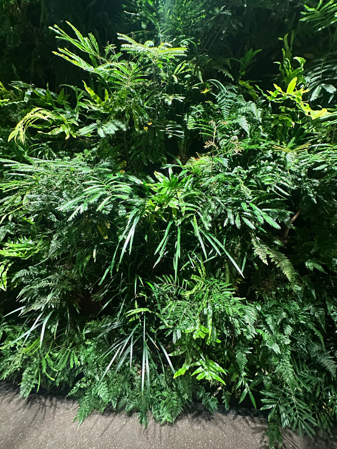 没入型カフェ「小楽園」が示す新しい店舗体験｜リテールテイメントの本質とは