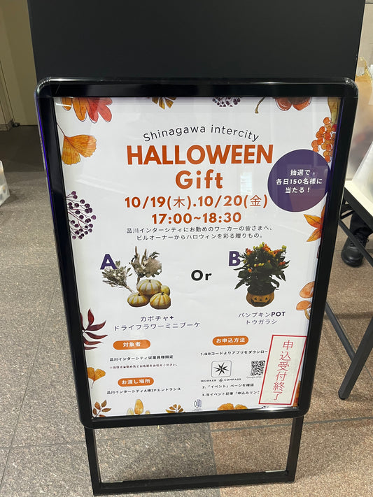 10月31日火曜日　ハロウィン