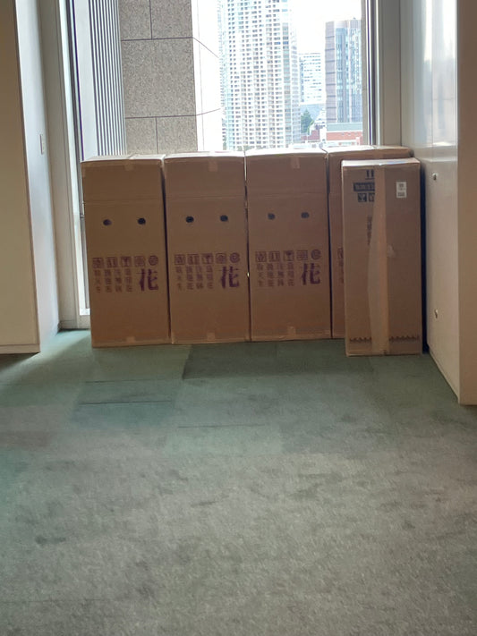 胡蝶蘭の宅配が増加中！花屋として感じた新しいお届け事情