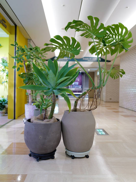 リニア中央新幹線 静岡工区着工へ｜2036年開業視野とこれからの地域の変化