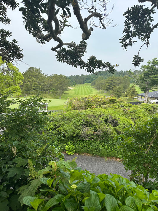ウエディング業界ゴルフコンペに参加してきました⛳️