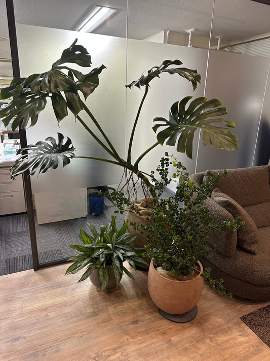 金型業界の脱・相見積もり戦略｜安値競争から抜け出す中小企業の新しい価値づくり