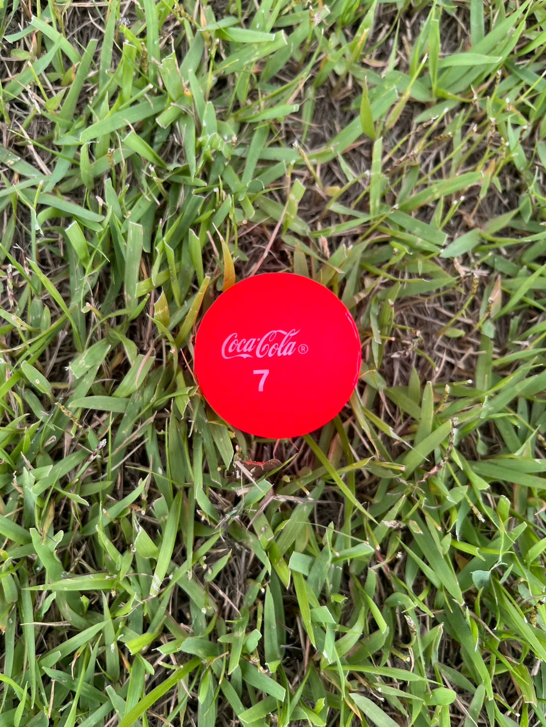 店長年収1000万円時代へ？外食業界の挑戦