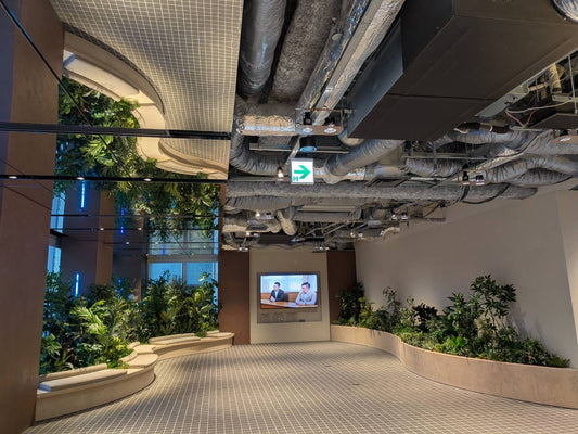 オフィスに人が戻ってきた。植物の需要も、確かに変わってきている。【GORI日記】