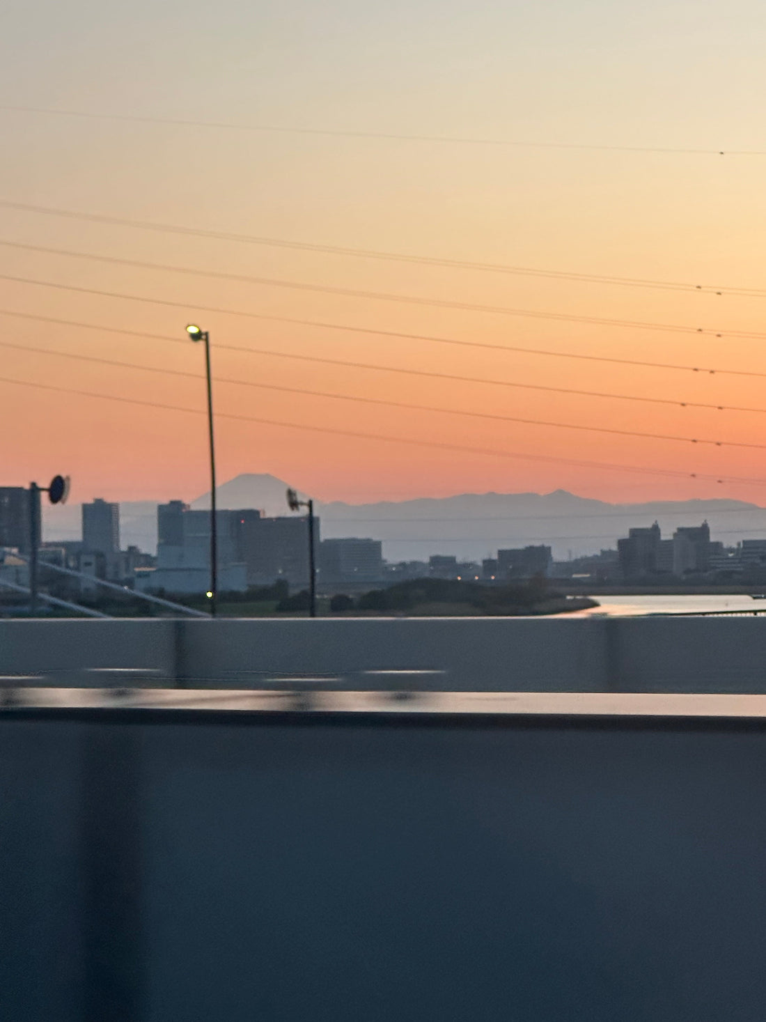 日本株で個人投資家が増加｜花屋経営に活かす「個の時代」の考え方【GORI日記】