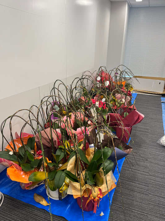 「胡蝶蘭の回収サービスの重要性とは？｜花屋の取り組み」