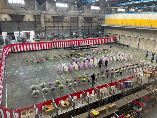 2023年度全国洋らん品評会