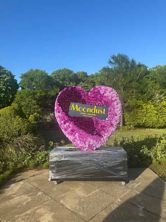 【船橋市アンデルセン公園】ムーンダストのフォトスポットを施工してきました。【GORI日記】