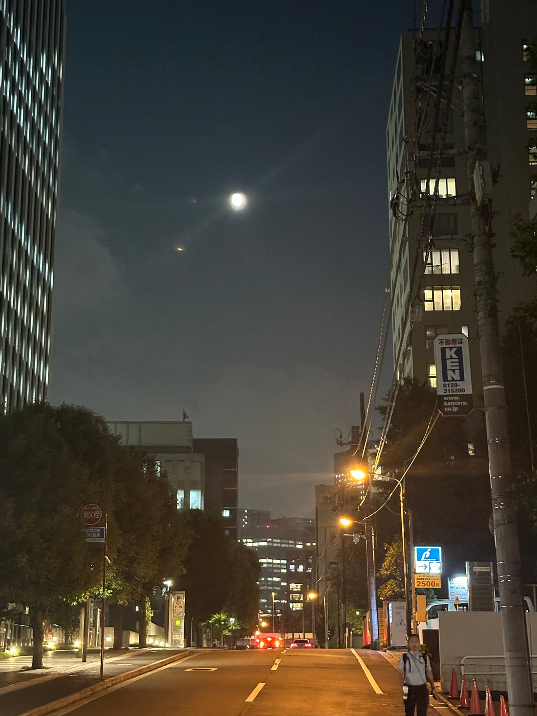 GORI日記｜選挙戦と胡蝶蘭と、静かに咲くもの。