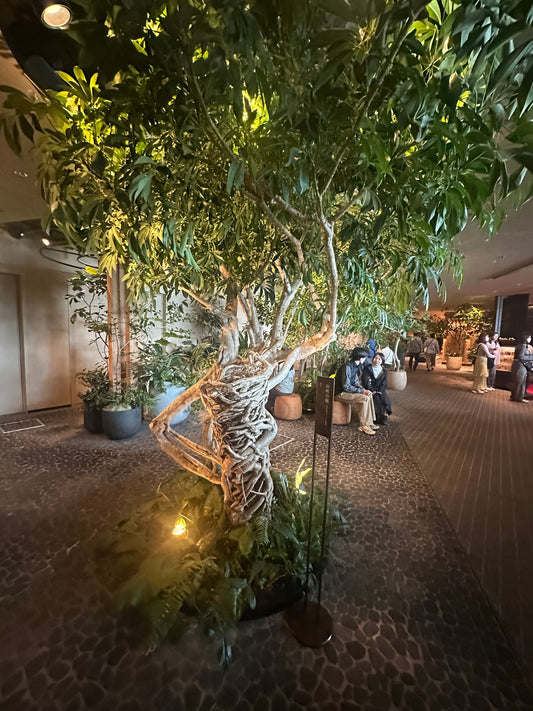 植物オタクしかわからない言葉8選、沼る・徒長・斑入り、あなたはいくつ知ってる？【GORI日記】