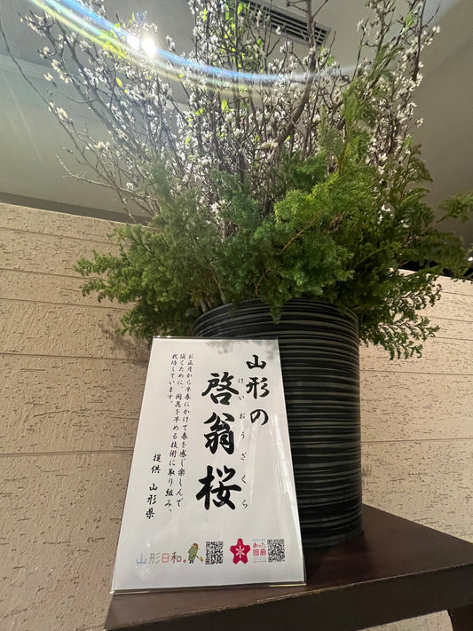 桜