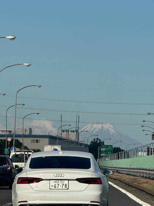 東京の木陰が消えている、街路樹50万本減、世界と逆行する日本の緑【GORI日記】
