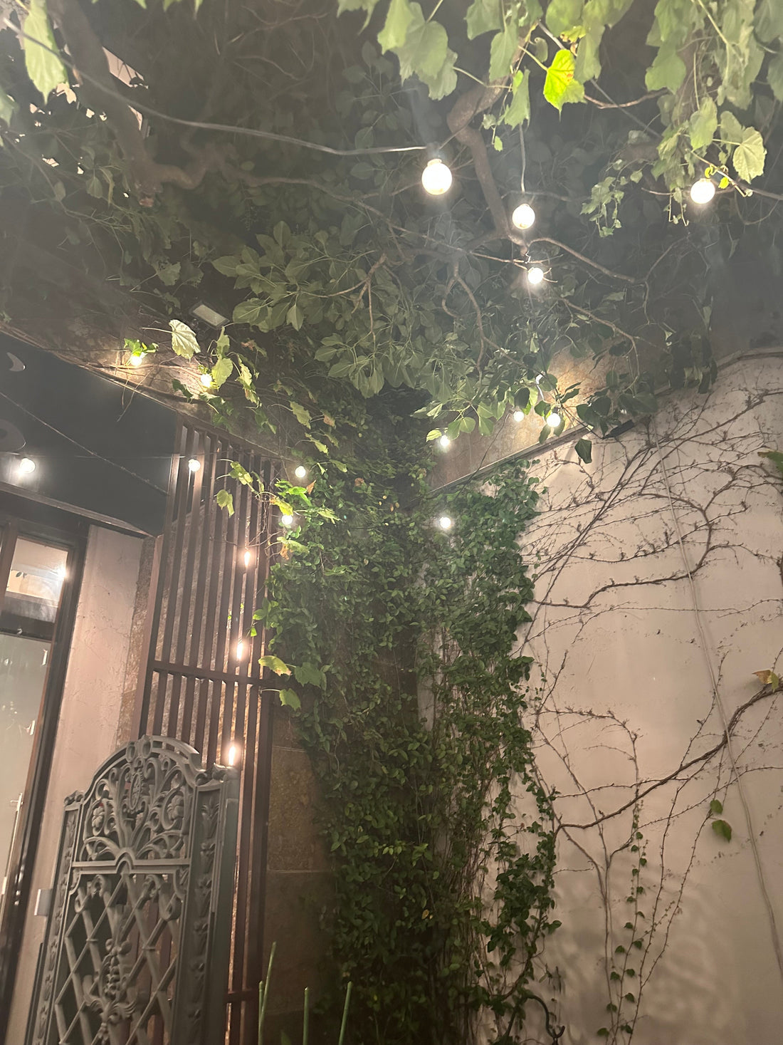 GORI日記｜日本の人口減少と、花屋として思うこと