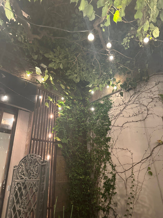 GORI日記｜日本の人口減少と、花屋として思うこと