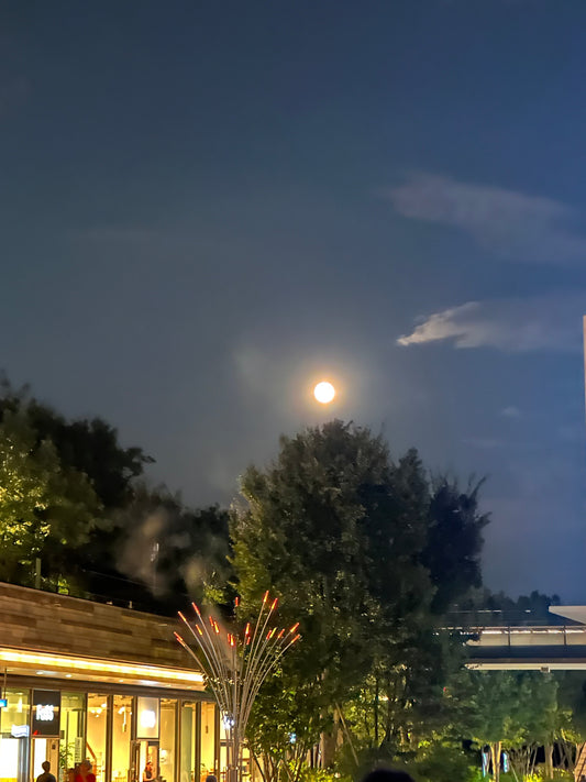 GORI日記｜on the set