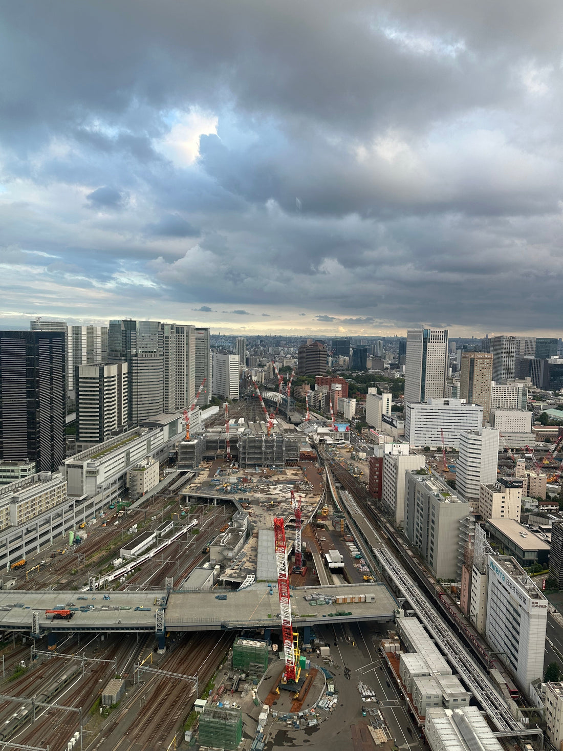 日銀が31年ぶり1%利上げ、植物屋の経営者が感じる「お金の重さ」【GORI日記】