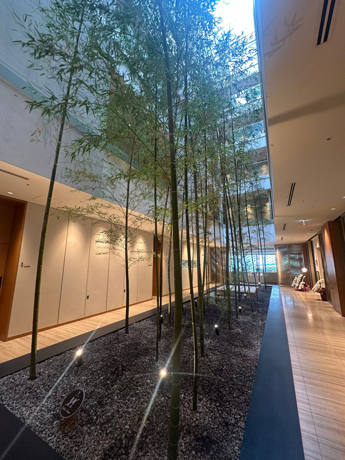 カンボジア決済アプリ破綻「便利なアプリ」を使う前に、植物屋が考えること【GORI日記】
