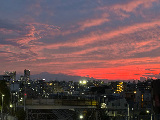 GORI日記：花キューピット×dinos業務提携｜花業界ニュースと人の循環から学ぶこと