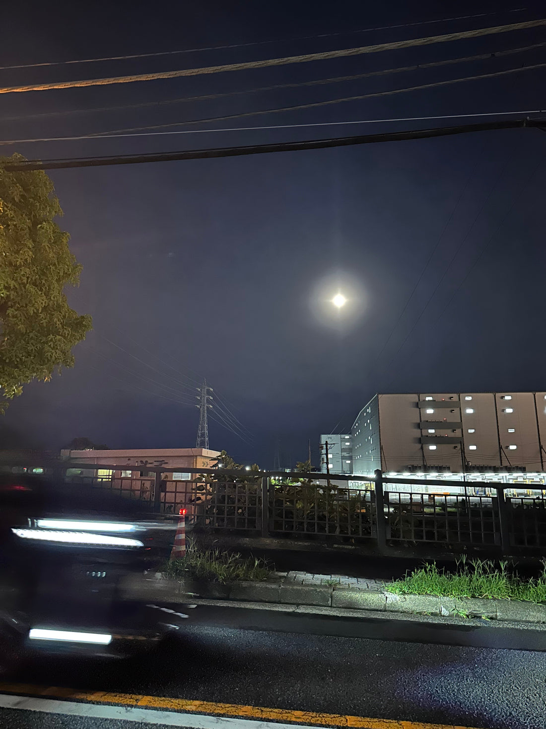 GORI日記：量より期待、便利さと自然の力