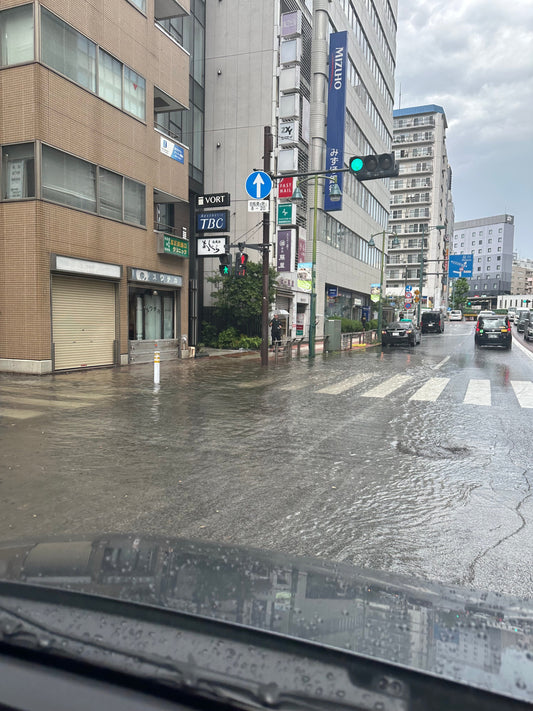 GORI日記：雨庭と極端な天気