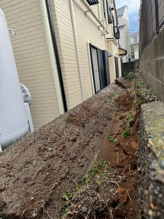 GORI日記：都市に呼ばれる稲妻と温暖化