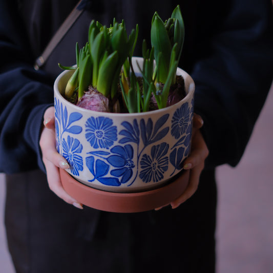 期間限定｜球根たちの春 ヒヤシンスとムスカリの寄せ植え（ヴィンテージ陶器）【GORI STORE　TOKYO公式】