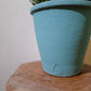アガベ 笹乃雪（ササノユキ） Agave victoriae-reginae × Agave potatorum｜Domani Axel Light Blue