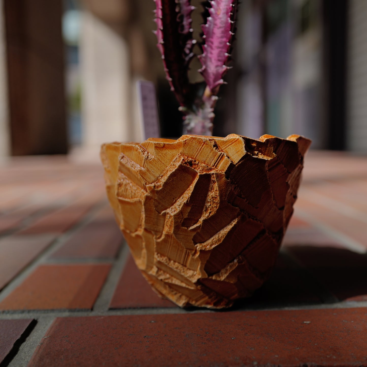 【一点物】ユーフォルビア 紅彩雲閣 ルブラ｜赤紫ボディ×オレンジ陶器鉢｜Euphorbia trigona "Rubra"｜高さ約37cm