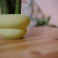 サンスベリア スタッキー 観葉植物 多肉植物 おしゃれ 陶器鉢付き インテリアグリーン｜Sansevieria stuckyi｜GORI STORE TOKYO（3）
