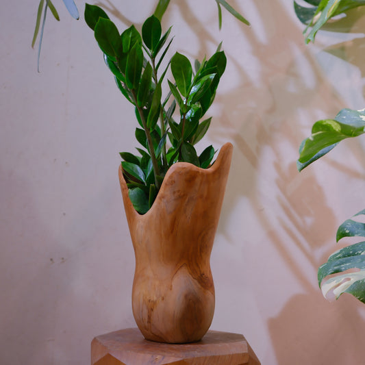 【一点物】ザミオクルカス×チーク材カバー 高さ約55cm｜世界三大木 天然チーク削り出し オブジェ級グリーン【GORI STORE TOKYO】
